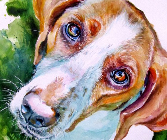 Cute dog