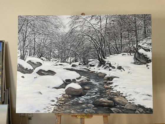 Winter Stillness in Motion