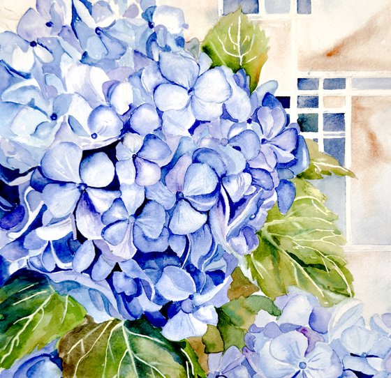 Blue Hydrangea