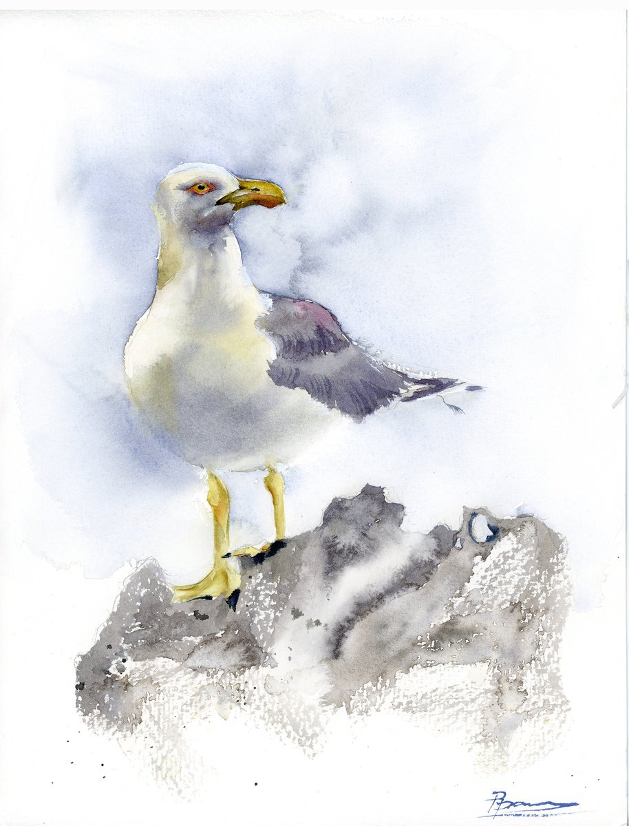 Seagull  -  Original Watercolor Painting by Olga Shefranov (Tchefranova)