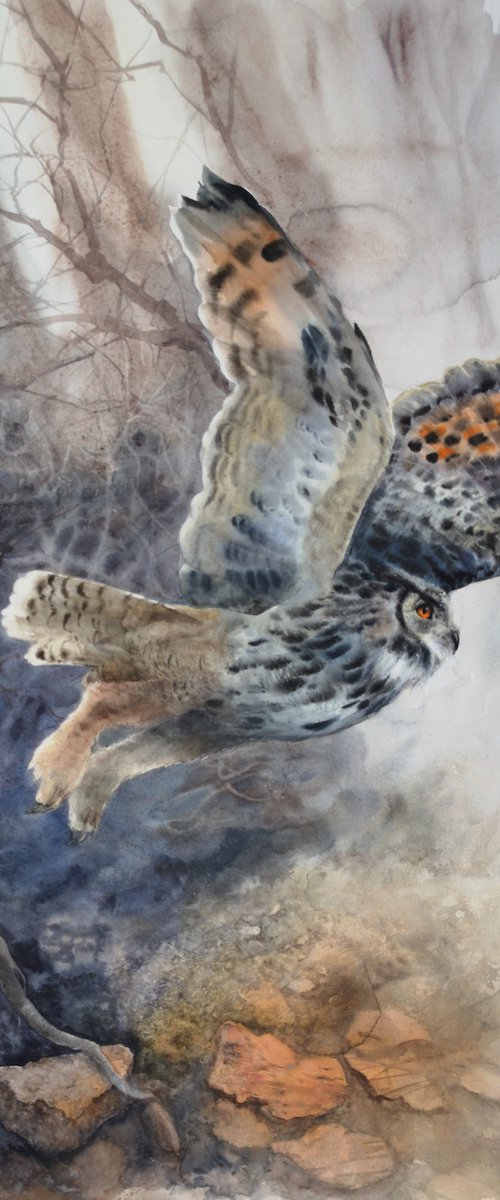 Majestic Flying Owl by Olga Beliaeva Watercolour