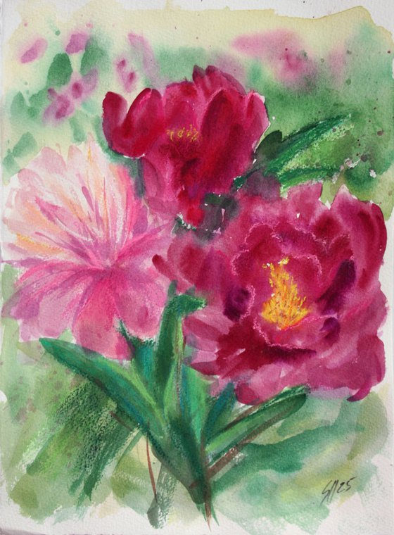 Peonies