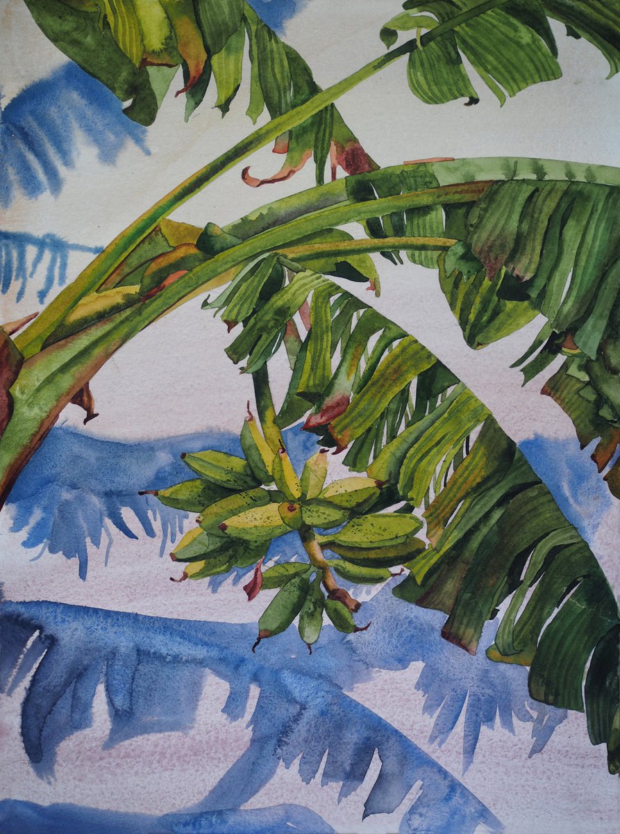 Banana palm shadow - original watercolor by Delnara El