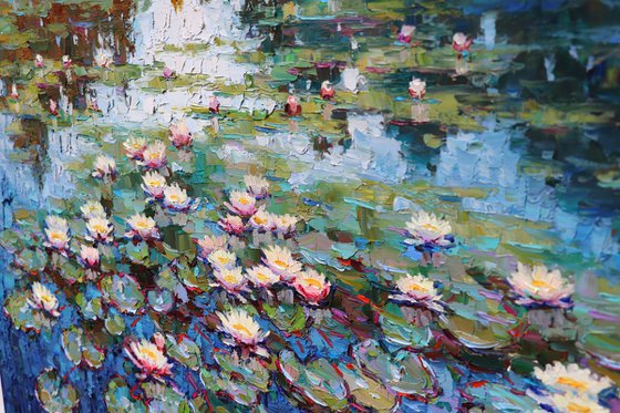 "Water lilies"