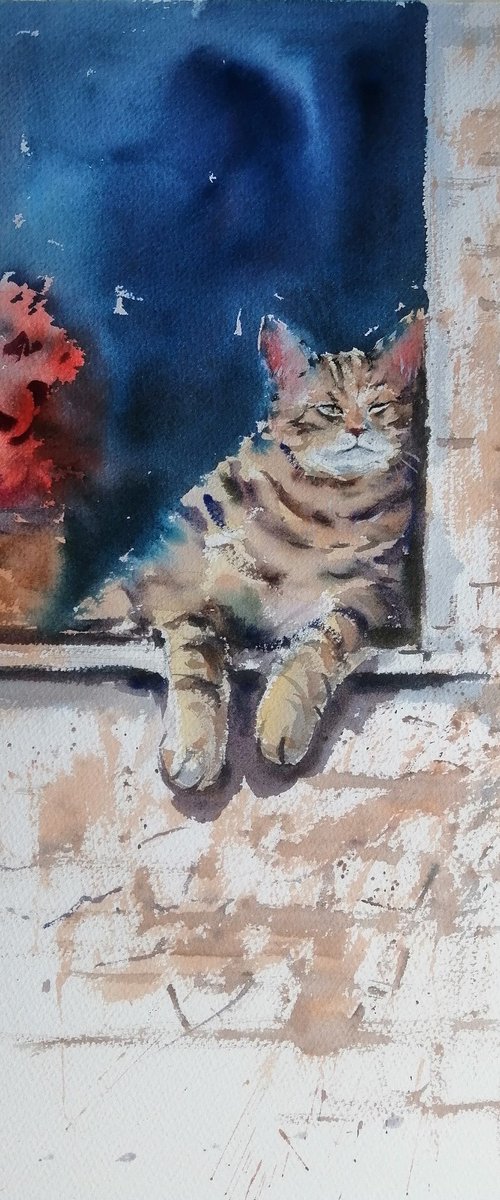 cat 17 by Giorgio Gosti