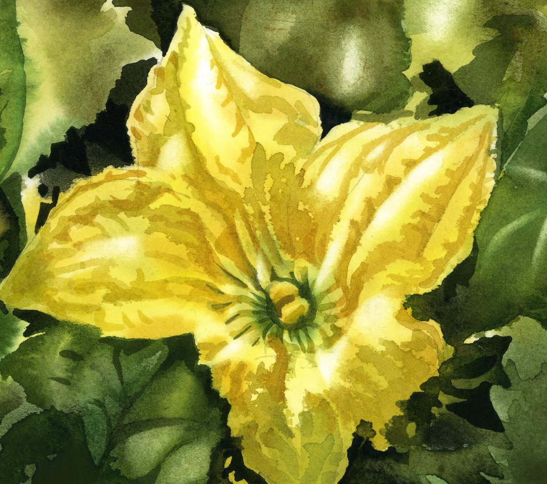 絵画 Flower. Yayoi Kusama Flower A (Signed Print) 2005 | For Sale