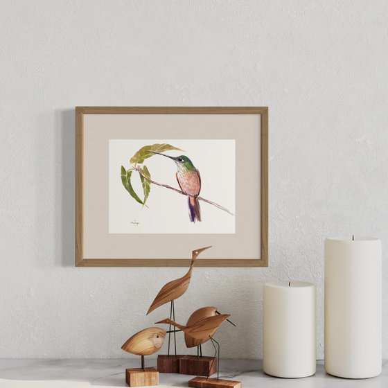 Hummingbird on the Tree