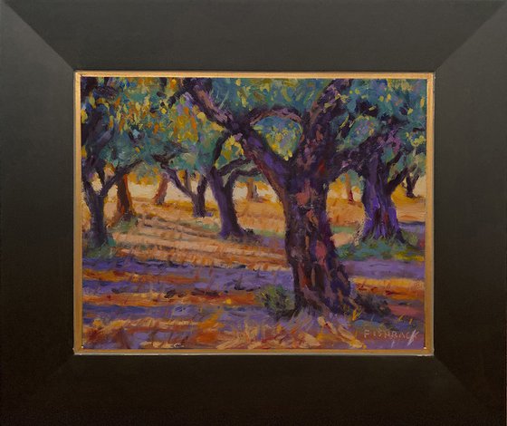 Olive Tree Grove