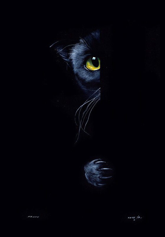 Black Cat (Chat Noir)