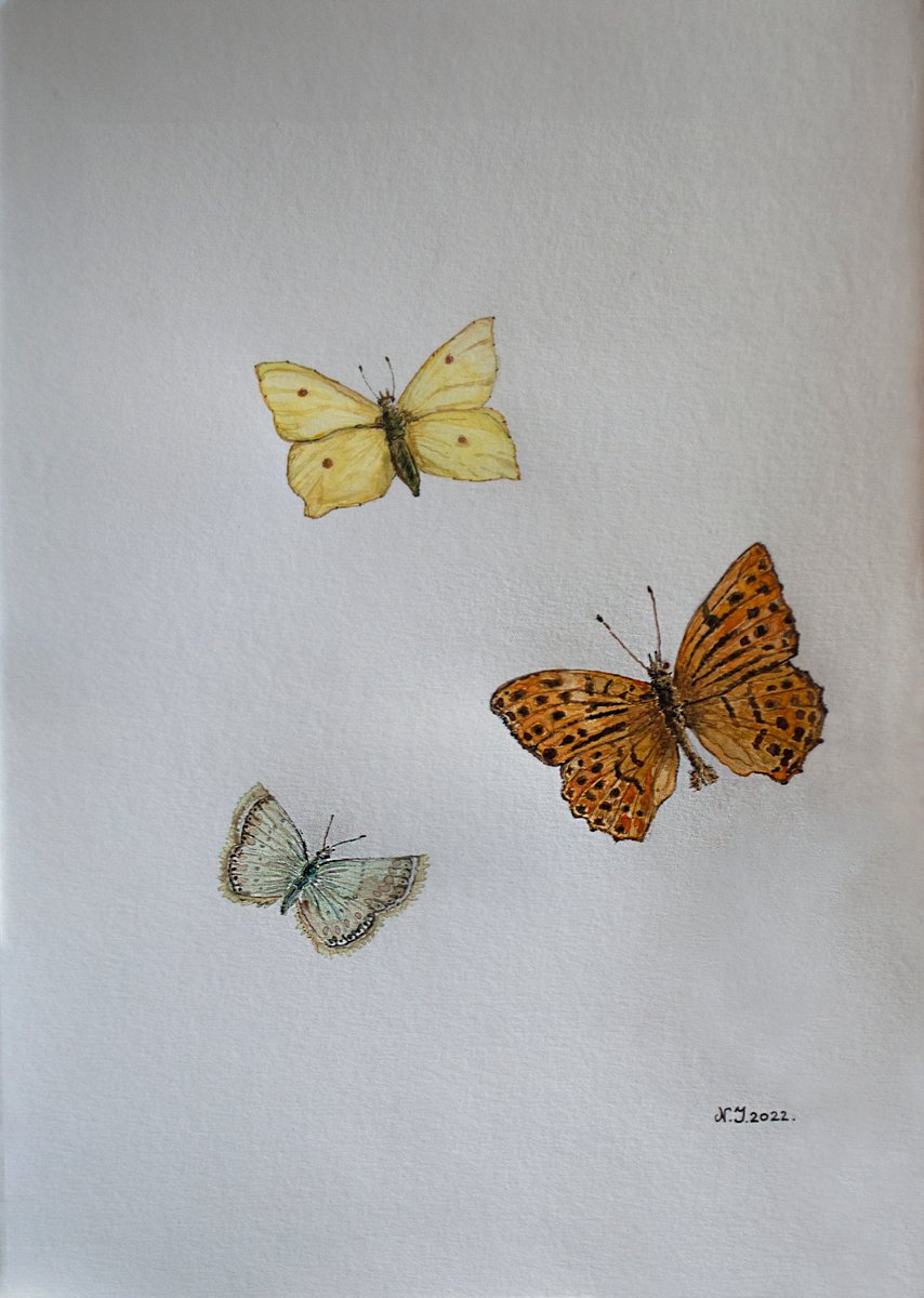 Butterfly Trio I by Nikola Ivanovic