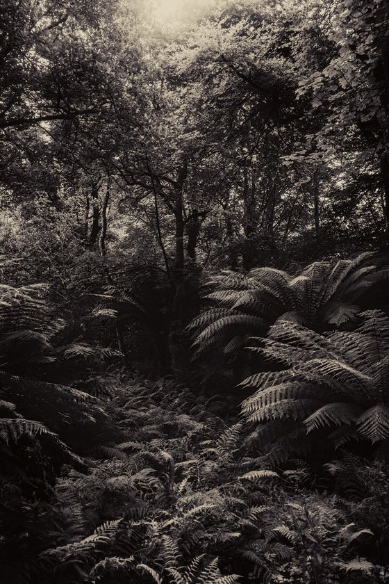 Sanctuary