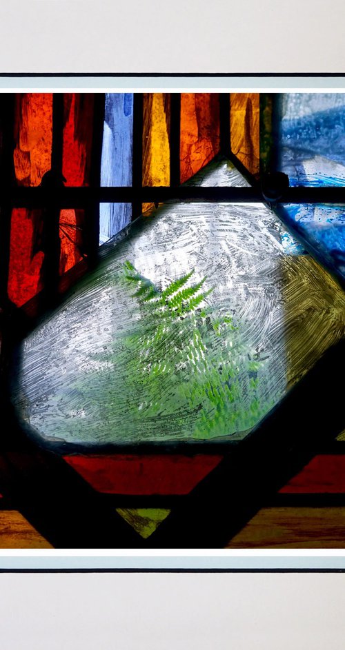Fern inside Stained Glass by Robin Clarke