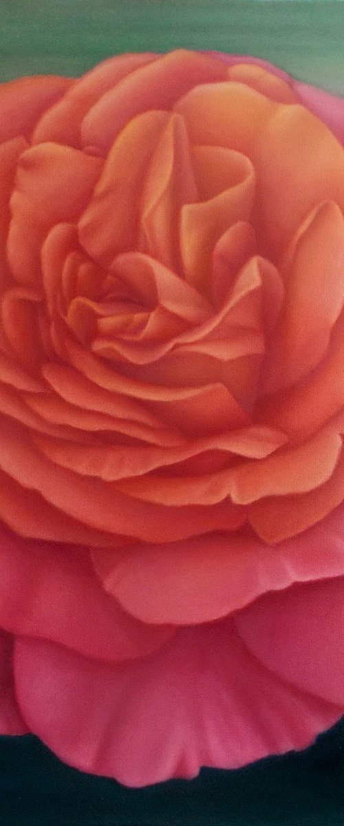 "Queen of beauty", rose painting , orange flower by Tatyana Mironova