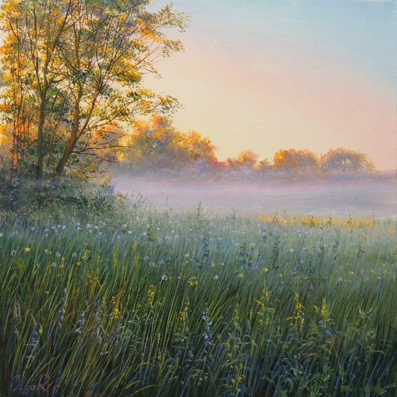 Fog Over the Meadow