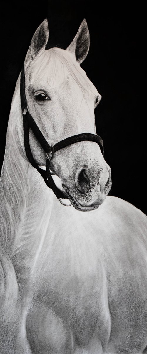 White Horse #3 by Mariam Darchiashvili