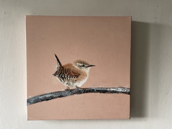 Jenny Wren II