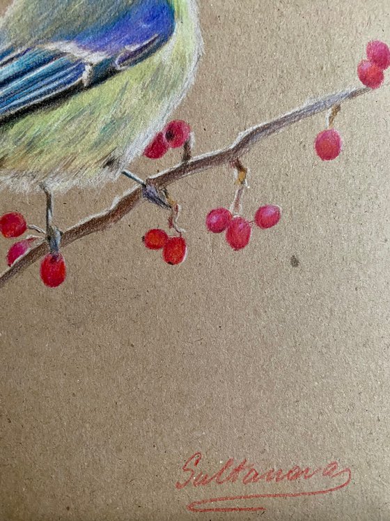 Bird with berries 2