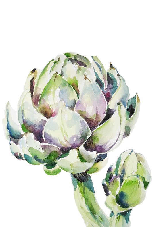 Artichoke vegetable artwork, watercolor illustration