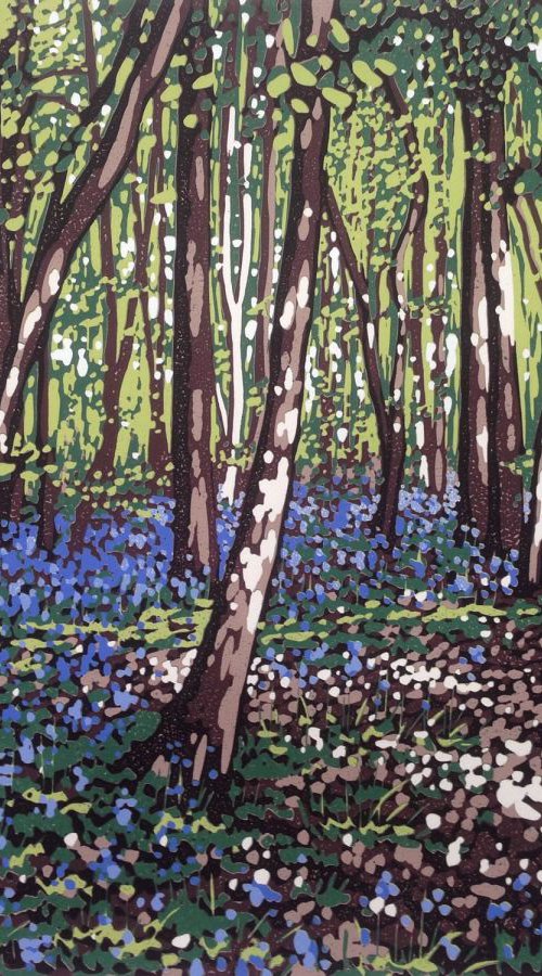 Bluebells and Sunlight by Alexandra Buckle