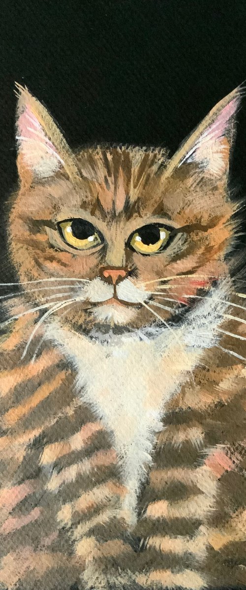 Ginger cat by Mary Stubberfield