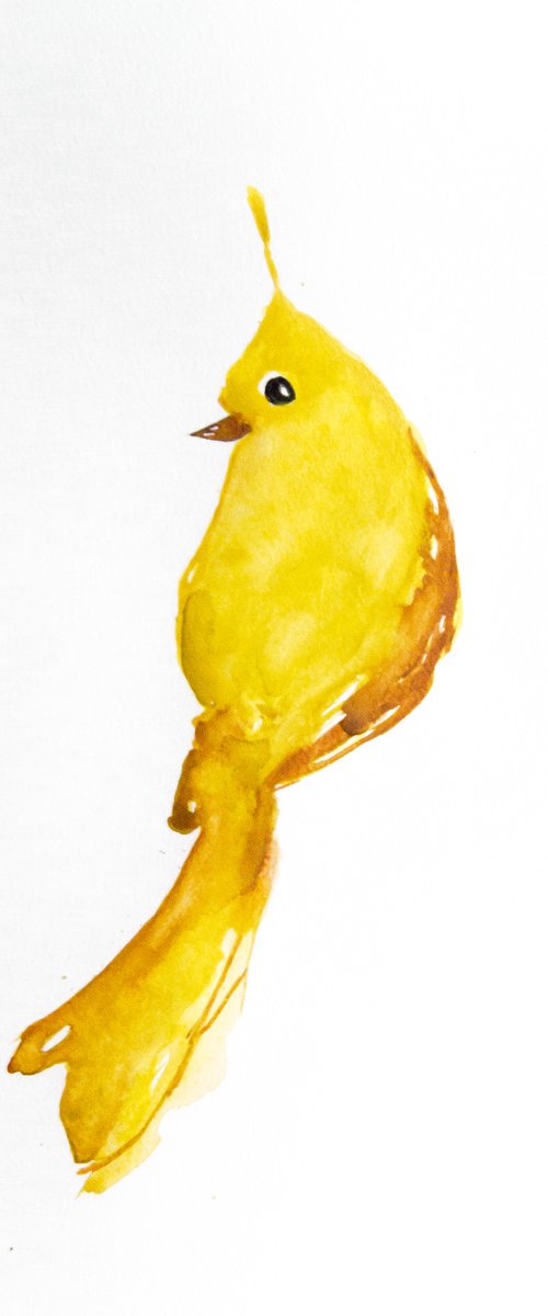 Bird by Nadia Moniatis