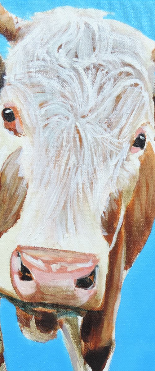 Cow portrait painting in blue by Gordon Bruce
