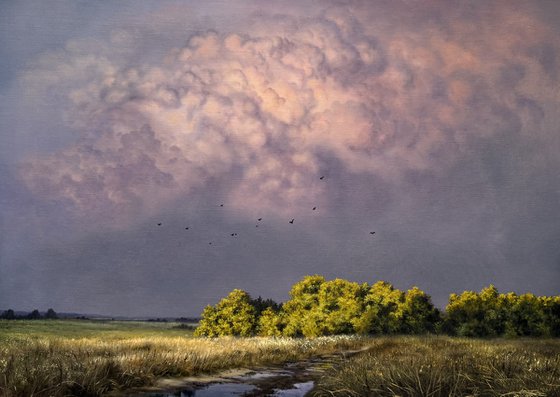 Evening light