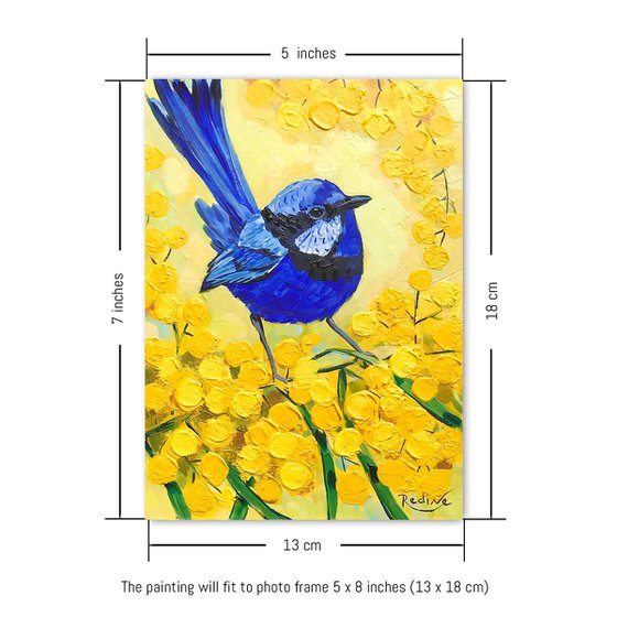 Splendid Fairy Wren and Golden Wattle – framed original painting