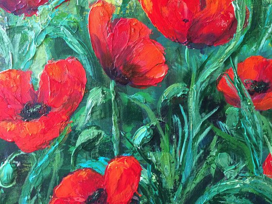 Red Poppies