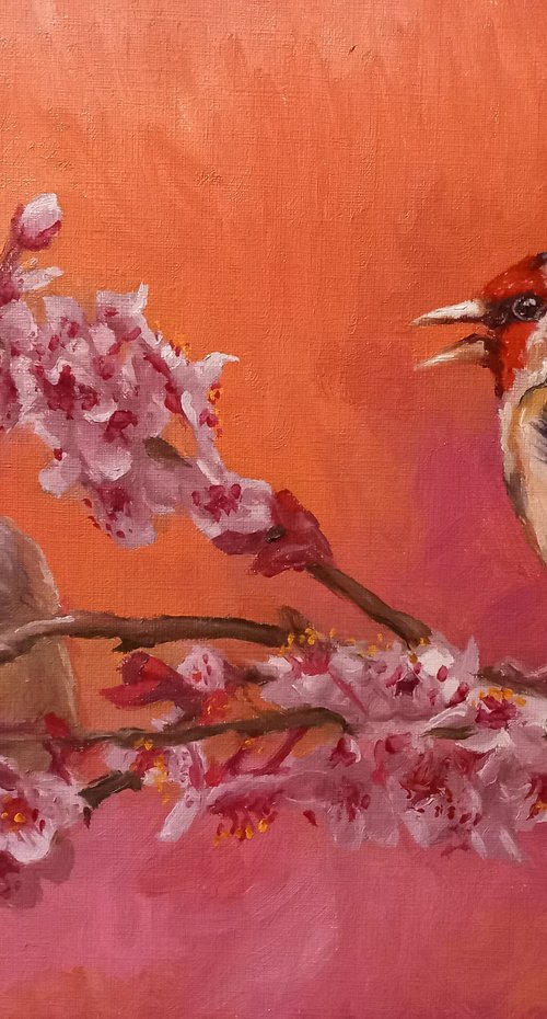 Conversations in the Blossom by Steffan Johnson