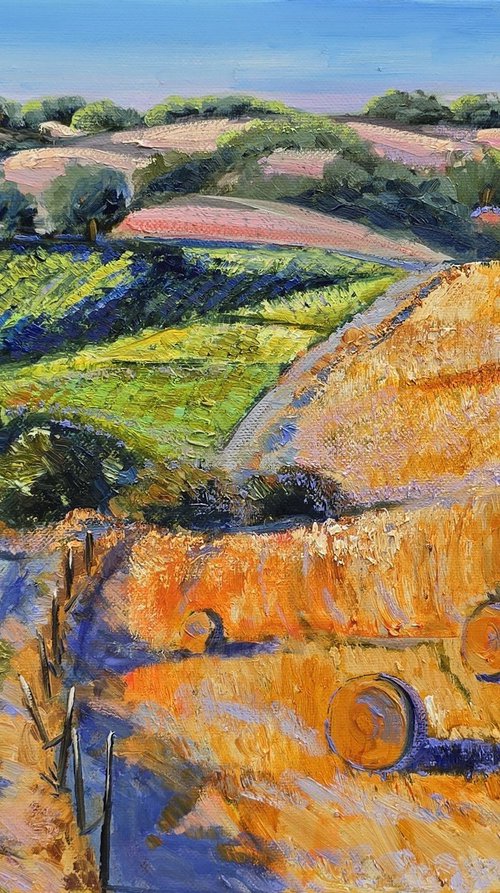 Sunlit Fields by Gulshaba Abbasova