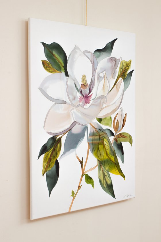 Magnolia No. 66