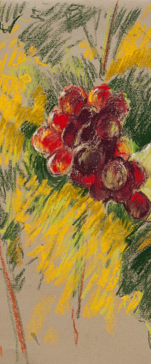 Grape for Claude Monet - en-plein-air drawing by Daria Yablon-Soloviova
