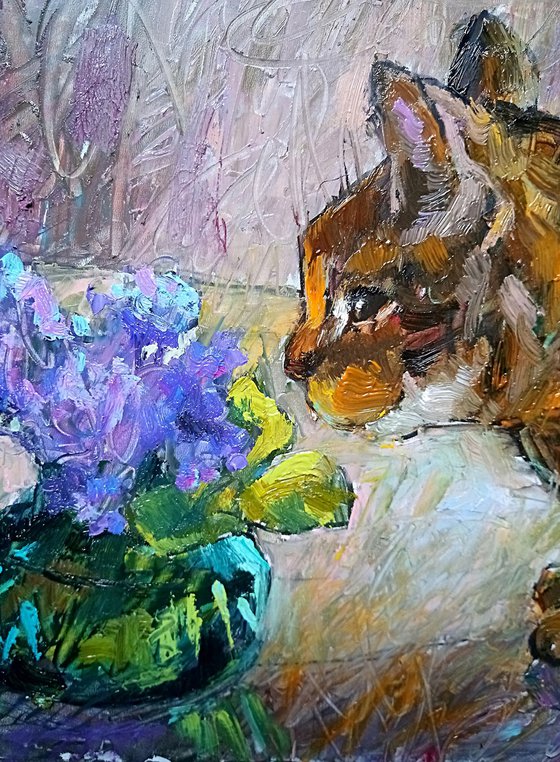 Cat and violets