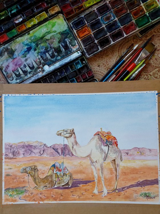 CAMELS-SCENE FROM THE DESERT