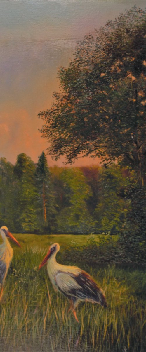 Storks in the Evening by Vladimir Jarmolo