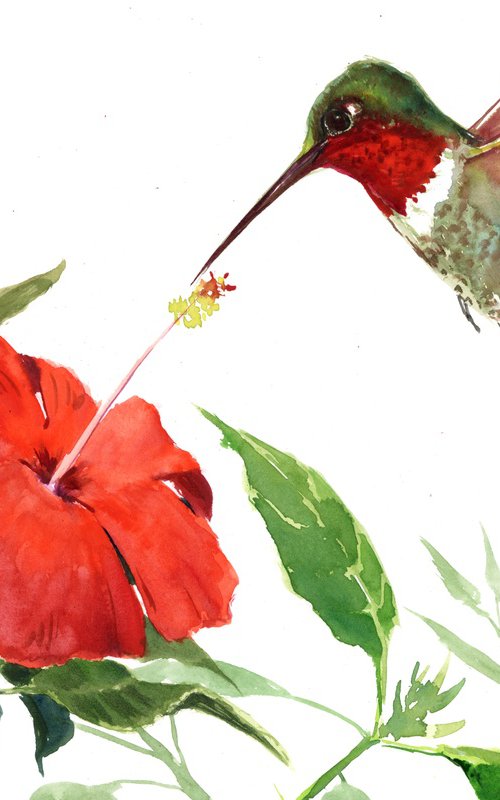 Hummingbird and Hibiscus by Suren Nersisyan