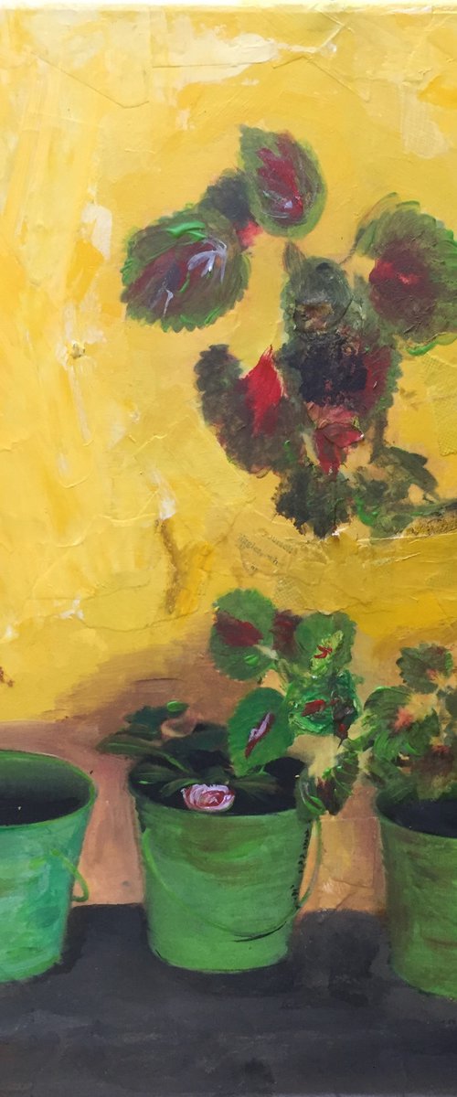 Yellow Wall, Greek Flowers by Andrew  Reid Wildman