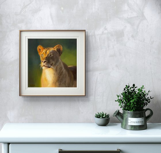 Lioness’s Gaze