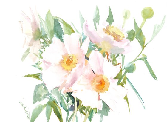 White Peony Flowers