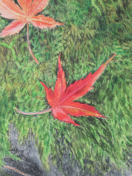 Fallen Leaves On A Mossy Rock