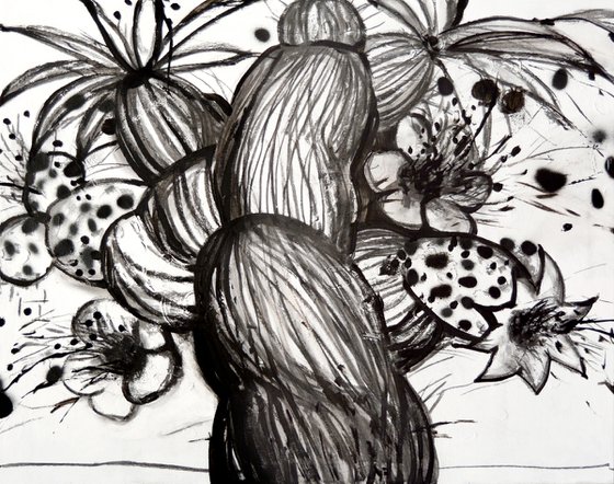 Sur Plants 2