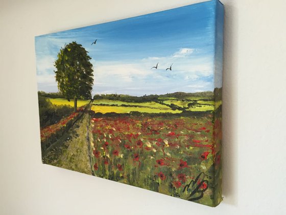 Poppy fields on a mini canvas