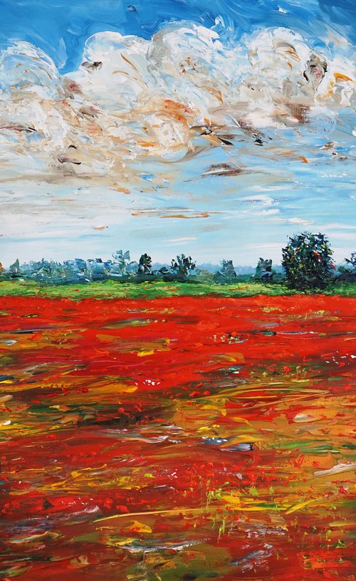 Red Poppy Field D 1 by Peter Nottrott