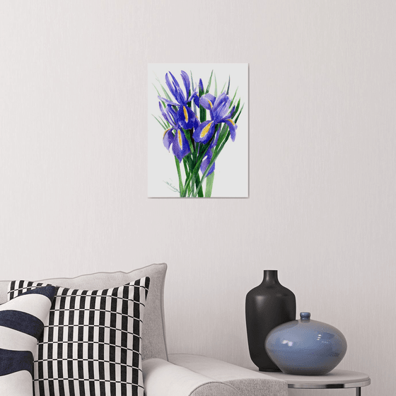 Blue Iris Flowers