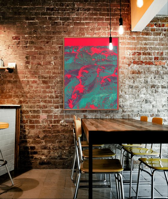 PhotoCollage Red Fish Sea Sand