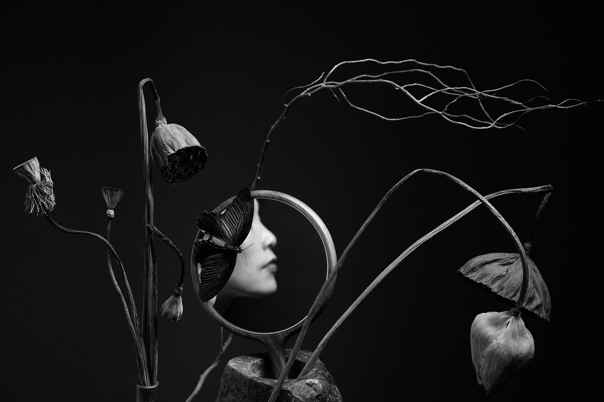 Expressive Botanical Photograph By Xidong Luo, 24 X 16", Late Summer Dream, Original Artwork