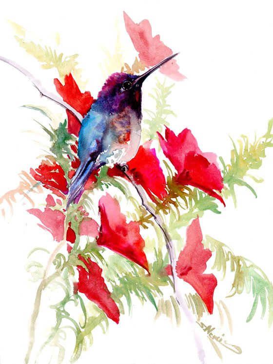 Hummingbird