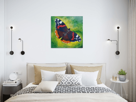 Red Admiral Butterfly