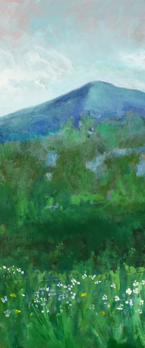 Mountain landscape by Cristian Valentich